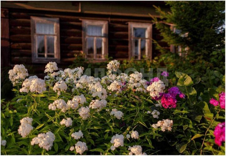 Коттедж/дом Горького улица, д.49